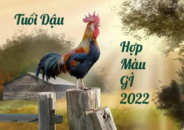 Màu nào là may mắn cho người tuổi Dậu trong năm 2022?
