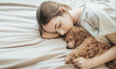 Có nên ngủ cùng chó mèo không? Có an toàn không?