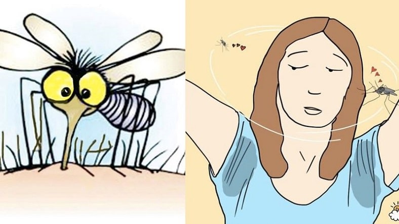 Liệu bạn có biết những mùi gì thu hút muỗi?
