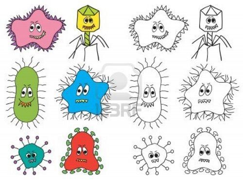  ổ vi khuẩn gây bệnh