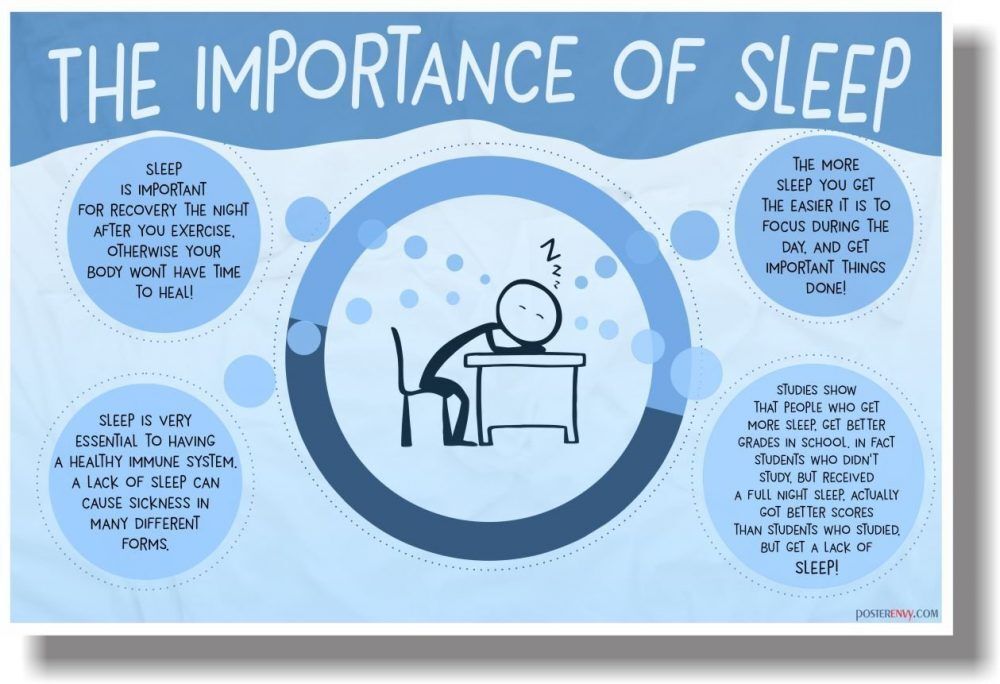 polyphasic sleep là gì