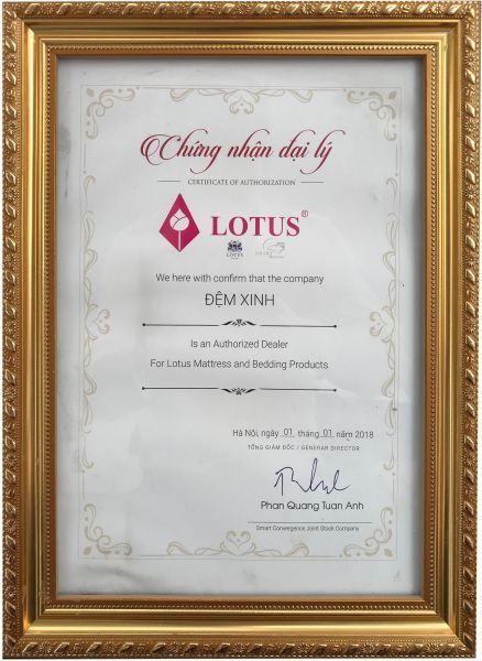 Chứng nhận Đệm Xinh là đại lý chính hãng của thương hiệu Lotus