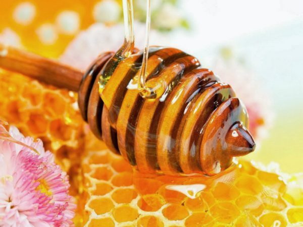 Tác dụng của mật ong nguyên chất