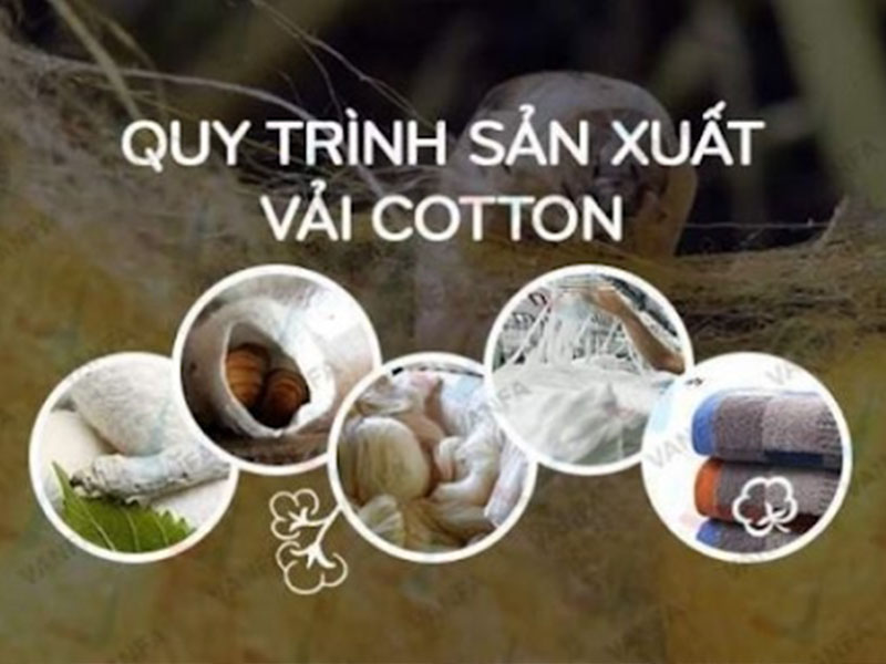 Quy trình sản xuất vải cotton đúng cách