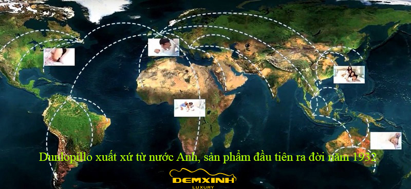 Đệm Dunlopillo của nước nào? khám phá hành trình 20 năm Dunlopillo tại Việt Nam