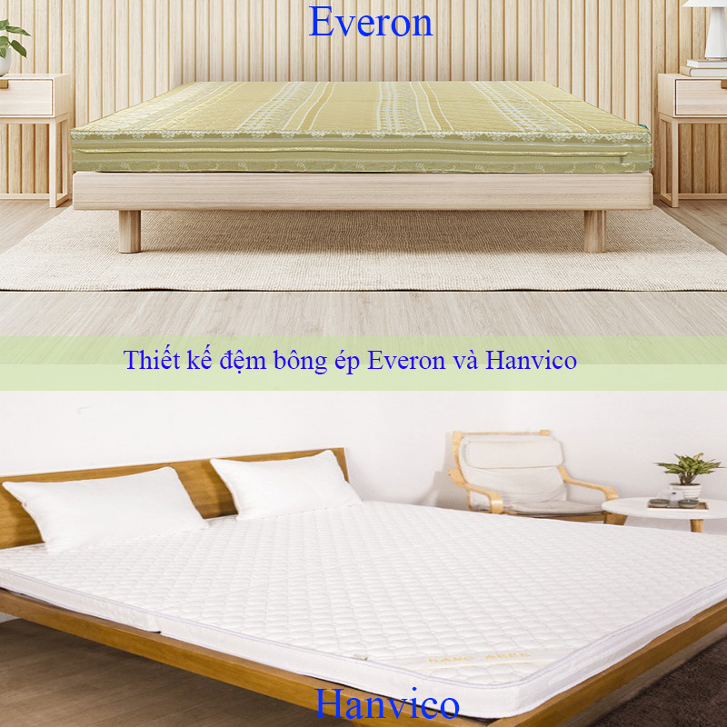 Thiết kế đệm bông ép Everon và Hanvico