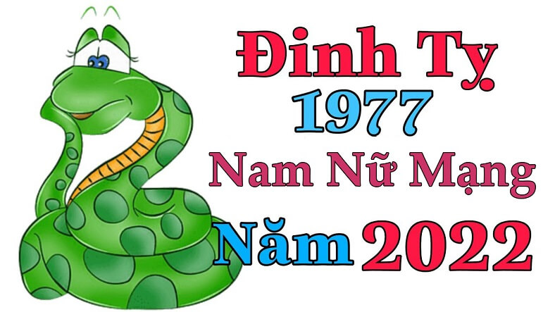 Chi tiết tử vi tuổi Đinh Tỵ 1977 trong năm 2022